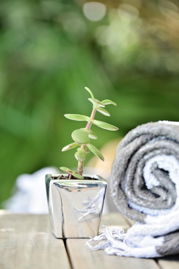 Vilacqua Boutique Guest Villa เพลตเตนเบิร์กเบย์ ภายนอก รูปภาพ
