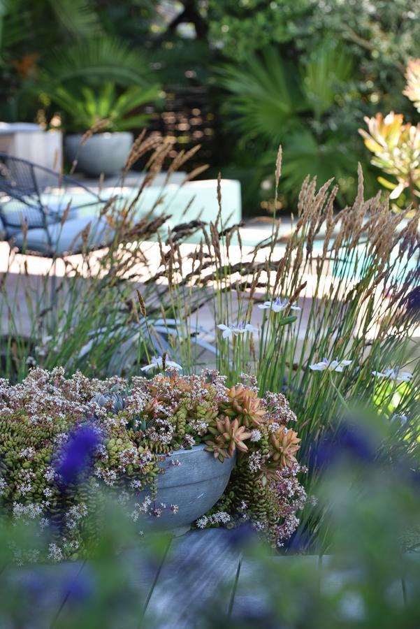 Vilacqua Boutique Guest Villa เพลตเตนเบิร์กเบย์ ภายนอก รูปภาพ